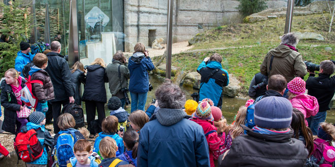 tierpark besucher 2014