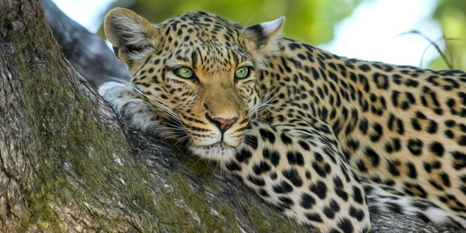 17. Internationale Fürstenfelder Naturfototage
