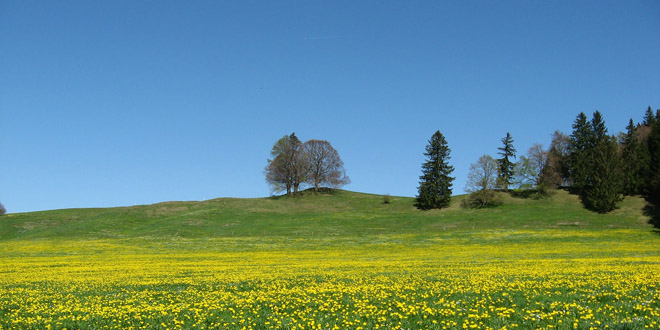 natur