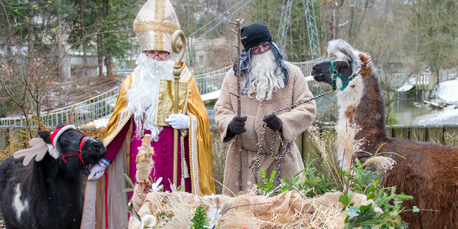 nikolaus