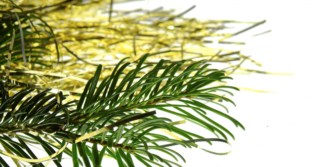 christbaum