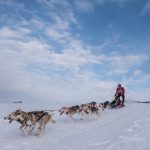 Die Formel 1 des Hundesports trifft sich vom 2. bis 5. Februar 2017 im bayrischen Inzell