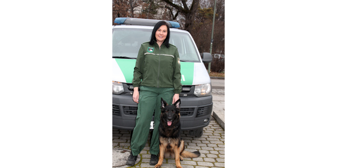 diensthund