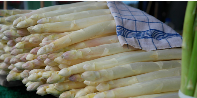 spargel