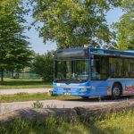 Sommer, Sonne, Seevergnügen: Badebus startklar