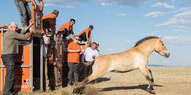 Mongolei
