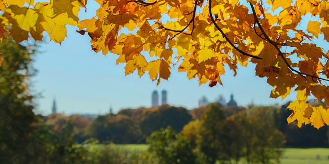 englischer garten