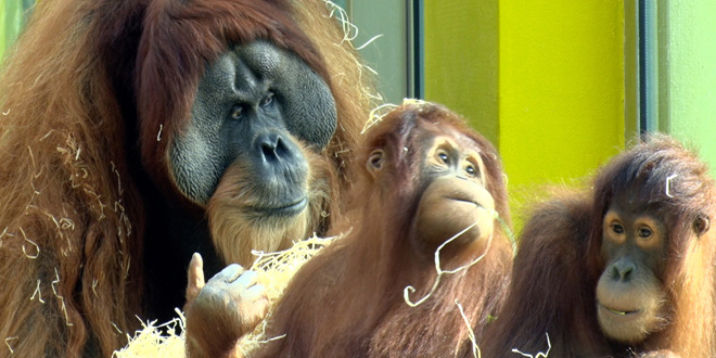 Blick hinter die Kulissen im Tierpark Hellabrunn