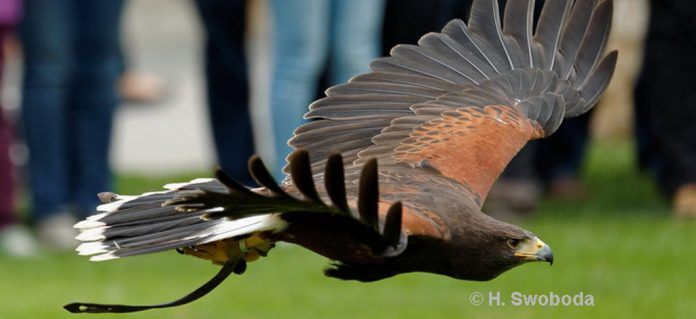 Naturfototage