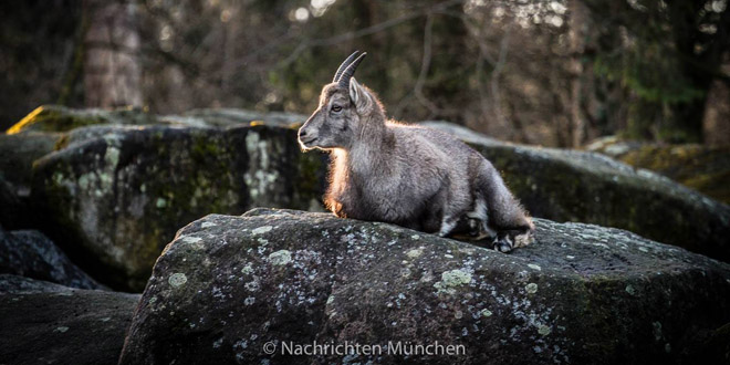 Zufriedene Besucher im Tierpark Hellabrunn Zufriedene Besucher im Tierpark Hellabrunn