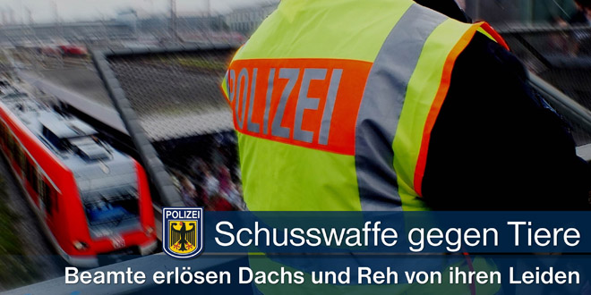 Schusswaffengebrauch gegen Tiere