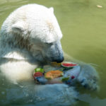 Eisgekühlte Erfrischungen in Hellabrunn