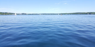 Starnberger See Schwimmen