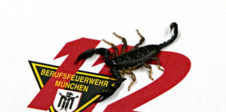 Ungewolltes Urlaubsmitbringsel