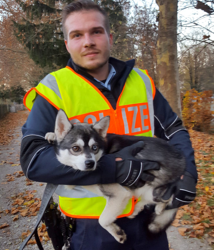 Husky legt Bahnstrecken lahm