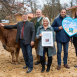 UNSER LAND übernimmt Patenschaft für Murnau-Werdenfelser-Rinder im Hellabrunner Mühlendorf