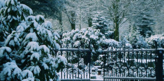 Schließung aller städtischen Friedhöfe wegendes starken Schneefalles