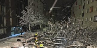 Bislang 120 Einsätze nach Schneefällen in München