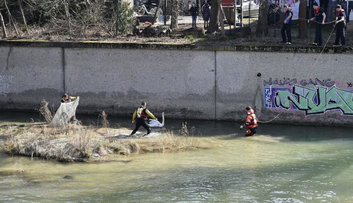 Verletzter Schwan braucht Hilfe - Feuerwehr rückt an!