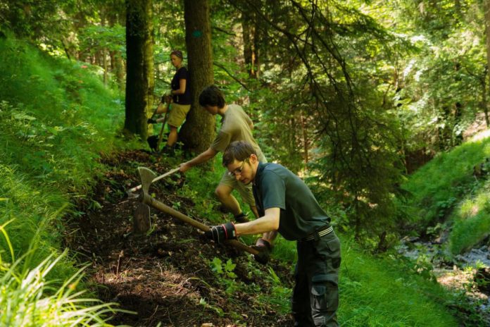 Aktion Schutzwald Aktion Schutzwald
