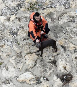 Reichenbachbrücke: Hündin von Isar-Insel gerettet 