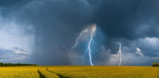 Meteorologischer Sommer bringt Hitze und Gewitter. Quelle: WetterOnline