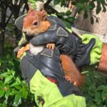 Oachkatzl bleibt unverletzt
