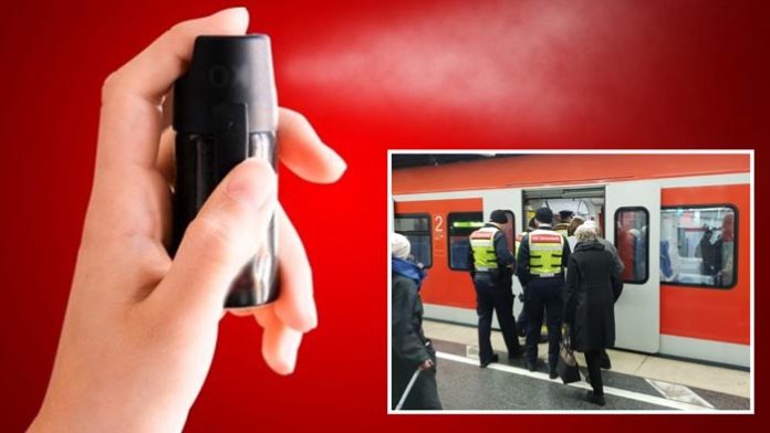 Bahnsicherheitsmitarbeiter attackiert Bahnsicherheitsmitarbeiter attackiert