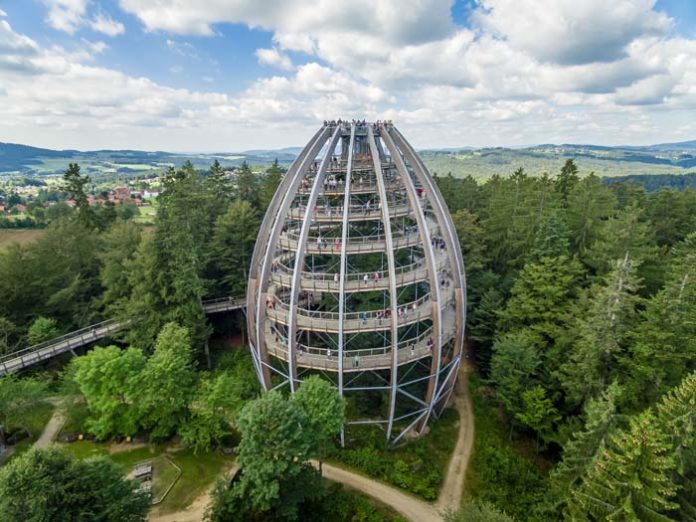 10 Jahre Baumwipfelpfad Bayerischer Wald: Das Baum-Ei feiert Geburtstag