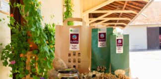 Münchner Bauern Genossenschaft baut in München Quinoa an