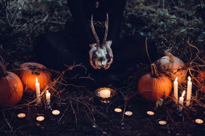 Schaurig schönes Wochenende - die besten Events in der Woche vor Halloween