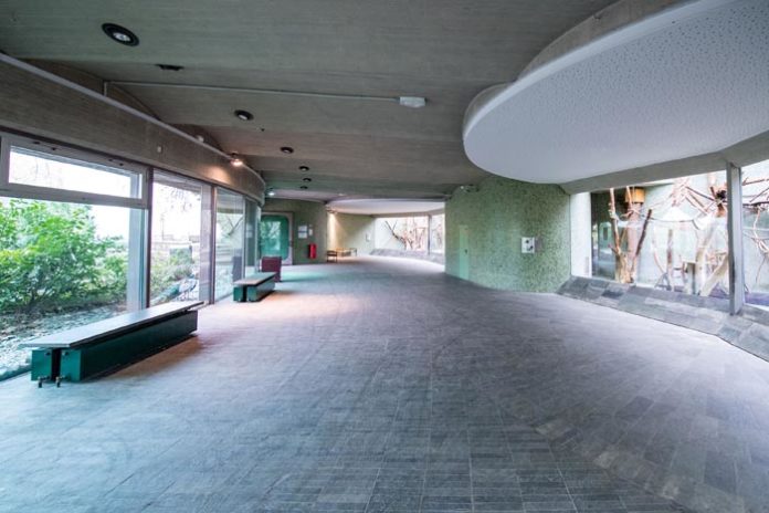 Projektbeginn: Hellabrunner Haus der kleinen Affen wird saniert Projektbeginn: Hellabrunner Haus der kleinen Affen wird saniert
