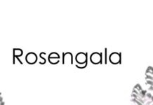 Rosengala 2020 - 21.02.2020 Deutsches Theater München