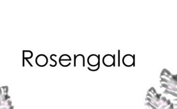 Rosengala 2020 - 21.02.2020 Deutsches Theater München