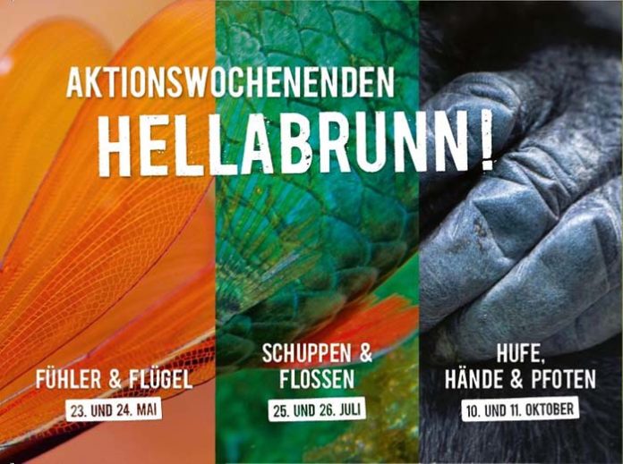 Aktionswochenenden_Hellabrunn_2020