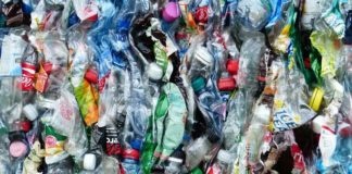 40 Tage ohne Kunststoff: Umweltreferentin ruft zum Plastikfasten auf