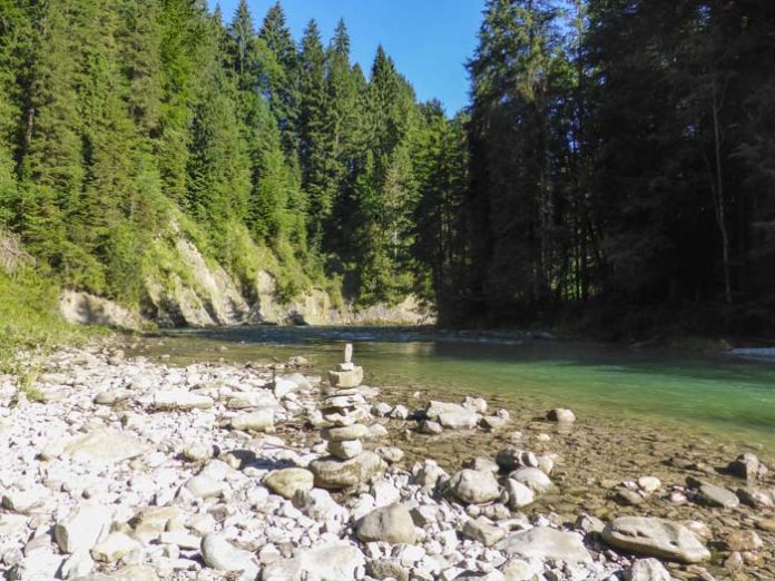 Nachhaltig und kostenlos: Neue Rangerführungen im Naturpark Ammergauer Alpen Nachhaltig und kostenlos: Neue Rangerführungen im Naturpark Ammergauer Alpen