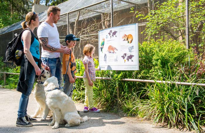 Besuch mit Hund in Hellabrunn Nachrichten München