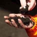 Abfallwirtschaftsbetrieb startet Erdenverkauf und mobile Abfallsammlungen wieder Abfallwirtschaftsbetrieb startet Erdenverkauf und mobile Abfallsammlungen wieder