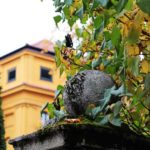 Städtische Museen öffnen wieder Städtische Museen öffnen wieder