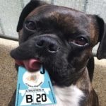 Österreich lockert die Reisebestimmungen: Was Autofahrer jetzt beachten müssen Österreich lockert die Reisebestimmungen: Was Autofahrer jetzt beachten müssen