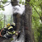 Kurioser Einsatz der Feuerwehr an der Maximiliansbrücke: "Brennt Baum"