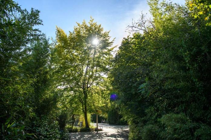 Besucherweg_Hellabrunn_