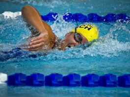Langstrecken Schwimmen München