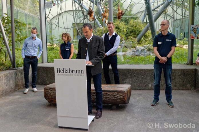 Sanierung: Haus der kleinen Affen in Hellabrunn fertiggestellt - Das ist neu! Sanierung: Haus der kleinen Affen in Hellabrunn fertiggestellt - Das ist neu!