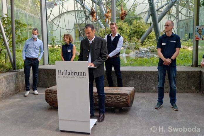 Sanierung: Haus der kleinen Affen in Hellabrunn fertiggestellt - Das ist neu!