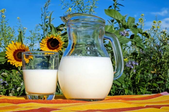 Tarifrunde Milchwirtschaft 2020: Corona-Pandemie erfasst die bayerische Milchwirtschaft Tarifrunde Milchwirtschaft 2020: Corona-Pandemie erfasst die bayerische Milchwirtschaft