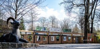 Corona-Krise: Münchner Tierpark Hellabrunn muss erneut schließen