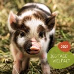 Die Vielfalt der Hellabrunner Tierwelt für zu Hause: Der neue Tierpark-Kalender ist da