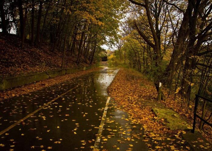 Unterwegs im Herbst: Langsam fahren, Licht an!